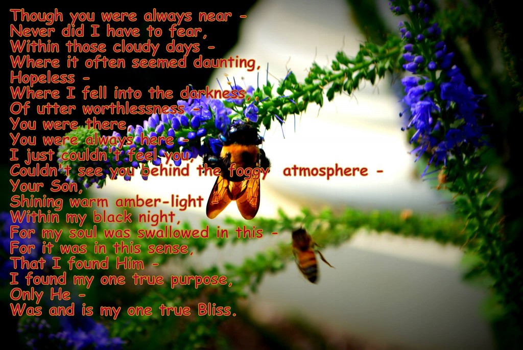 Syd's Bee and poem